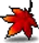 Maple Leaf