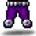 Purple Shadow Pants