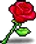 Red Valentine Rose