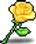 Yellow Valentine Rose